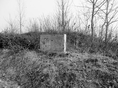 �����������������ò��ع������̡�ָ�㣨ͼ��