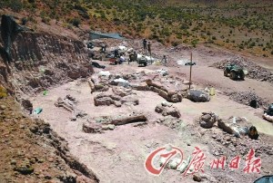 ����͢ũ������������ʯվ���߶ȴ�20�ף�ͼ��