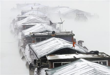 ���˺����ųɹ�����Ŵ������ѳ���1100����ͼ��