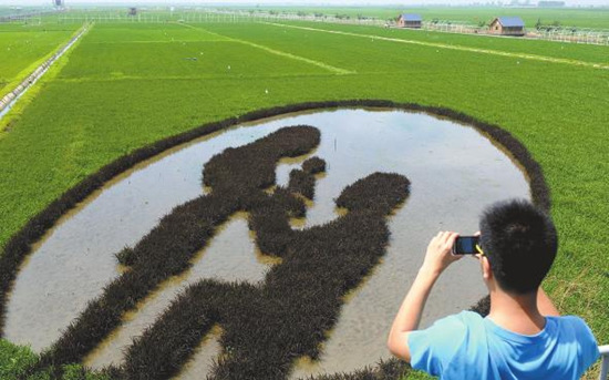 ����680Ķ�����ֳ�3Dͼ����������߸�ֺ����ȣ�ͼ��