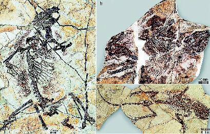 �й���ѧ��������鶯��������Դ��2.08����ǰ