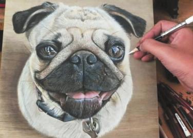 �¼�����������ѧ�ɲ��������廭����������ͼ��