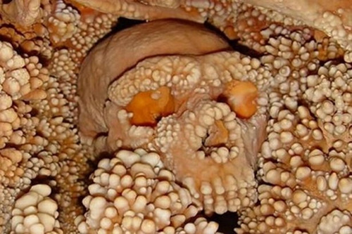 �����ȷ��15����ǰ����Ұ��ʬ������ϵ�������