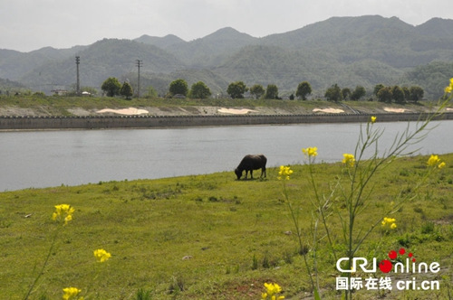 ������Ϫ����ϵ��ū�˺�����Ѽ�԰��Ϊ���һ�Դ��