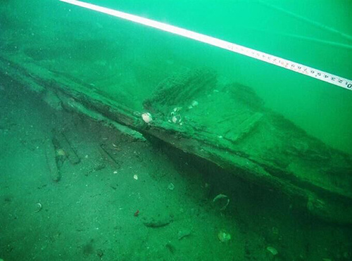 ר��ȷ���ձ�ӥ����������ΪԪ�������ձ��ľ���