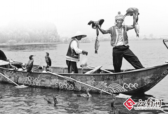 ������ӥ���ݵ㽫��������̬Σ����ȫ������