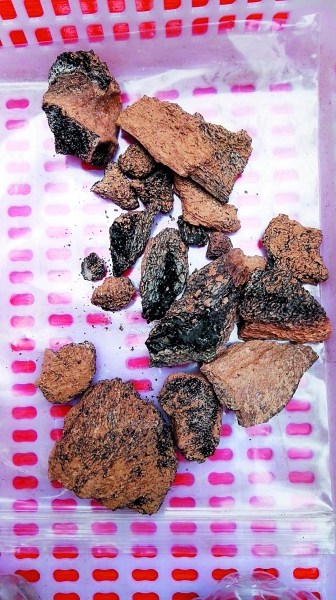 �ٷڶ�����ַȺ�·���46����ʯ�������ż�