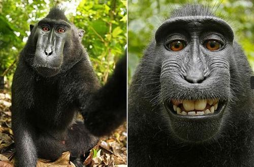 当自拍已成习惯:有时是“病”有时要命(图)