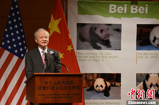 ���쿭������è�ǡ������ʹ����Ҳ�ǡ����������