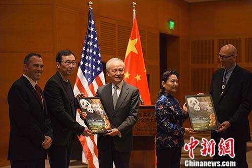 ��������Ƭ�����ǵ������й�����ʽ������ӳ