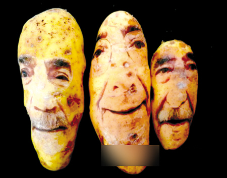 土豆人脸表情包图片