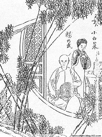 小白菜一案是当时轰动朝野的一件著名公案,被后人称为"晚清四大冤案"