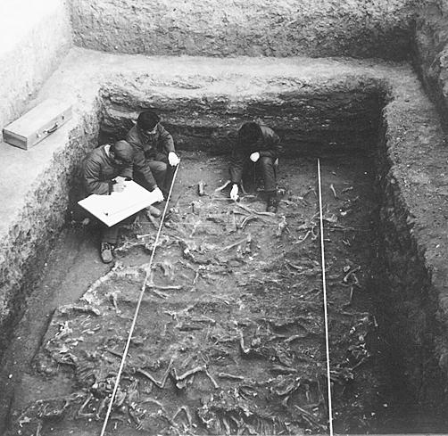 挖土方揭开西汉齐王墓之谜出土文物逾万件