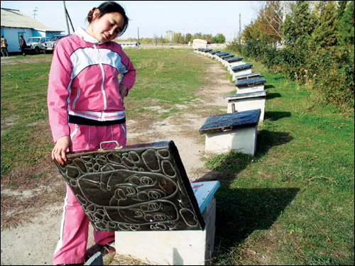 李白故里究竟在哪?邓小平曾为江油亲笔题词