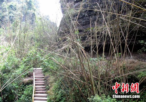 �㶫��ϼɽ������������ר�ҳ�����Ȼ����