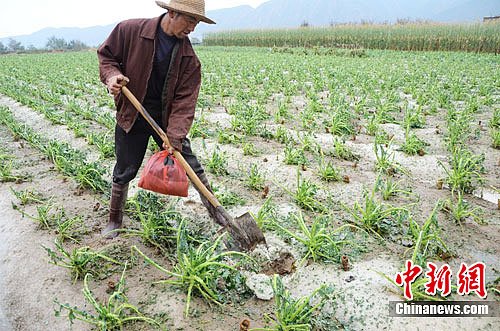 ���������Ⱪ�����ͻϮ��Ƭ�߲����ֲ���