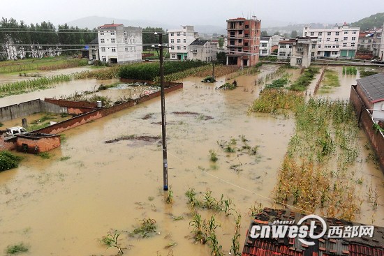 ����Ѵ���Ͼ�����������ǧ��Ⱥ�ڿ�ʼ����