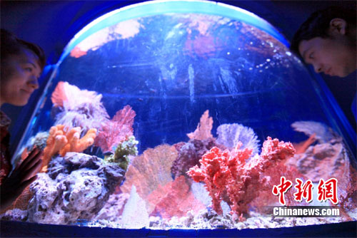 ɽ���������ֺ��������ɺ��չ���۽磨ͼ��