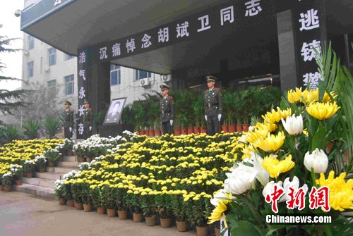 �ӱ�һ��׷������������ǧ���˰�����ͼ��