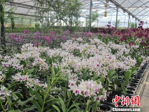 ���Ǵ��������ȴ�������ҵ����������Ʒ�ƣ���ͼ����3��