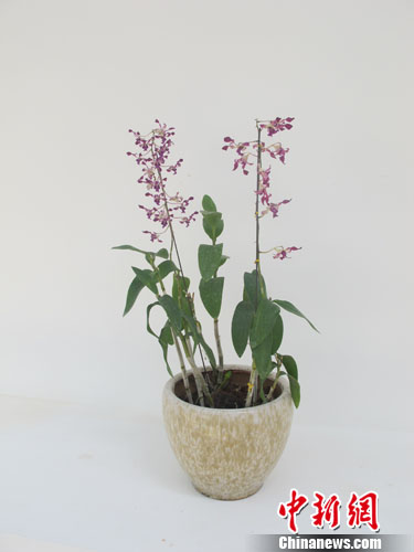 ���Ǵ��������ȴ�������ҵ����������Ʒ�ƣ���ͼ����4��