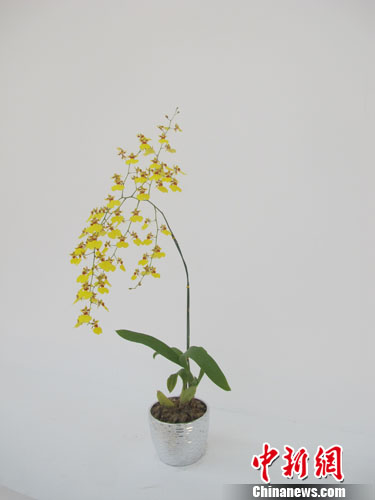 ���Ǵ��������ȴ�������ҵ����������Ʒ�ƣ���ͼ����5��