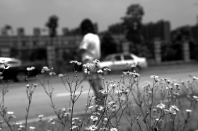 ��ŮѧԱ��ɫ�ǽ���ǿ�Ǽ�У�ƻ����������죨ͼ��