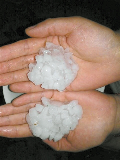 �����Ϯ����ƽ�Ⱦݲ�ֱ������7����Լ�м�����С