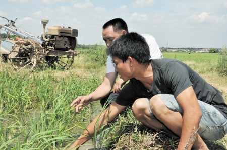 ���90������н�ؼ���ˮ��200Ķ���꾻׬12��ͼ��