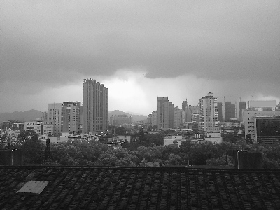 ����ʡ�ֵ�29�ո���ͻ��40�渣��ȼ������ƣ�ͼ��