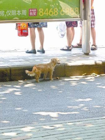 С������ԭ��һ�����ѳ����人�桰��Ȯ�˹�����ͼ��