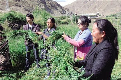 ����������ί��֯��פ�幤���Ӱ���Ⱥ���ոͼ��