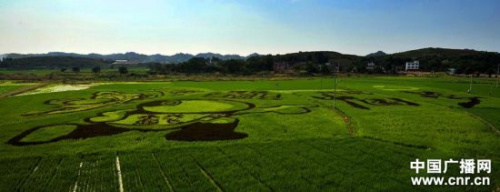 ���ϳ���ũ�������ֳ����й��Ρ�ͼ����Ϊ׳�ۣ�ͼ��