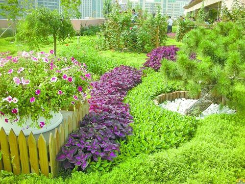 ��������Υ�桰���л�԰�����¥���̻�����������