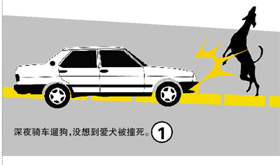 ���Ӱ�Ȯ��ײ����·�����ʬ���Լ�������������ͼ��