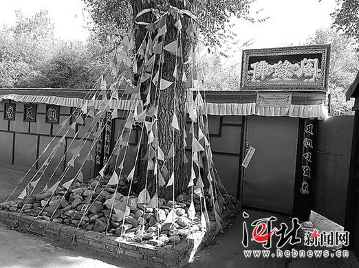 �е¡�С���������ſڷǷ����Ƶ㱻���