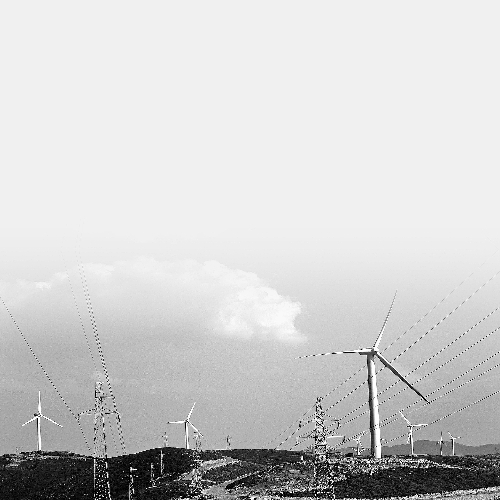 ���Ϸ���г��ڷ�չ�滮��¯2020���罫�淶������