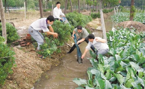 浙江抗击强台风“菲特”:基层党员筑起战斗堡垒(图)