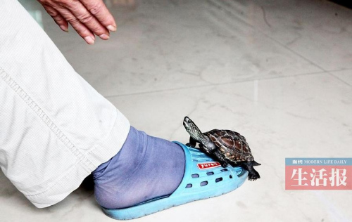 ���������������ꡱ��תȦ���軹��˫��վ����ͼ��