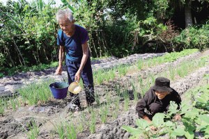 �����˳����ؾ���PM2.5���ڱ��������������ߣ�ͼ��