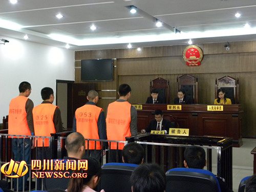 ��֦������Ա��������ɭ�ַŻ�����������10��