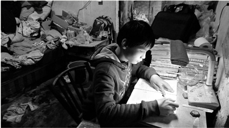 15岁少年母亲出走父亲去世养鸭子当小伙伴(图)