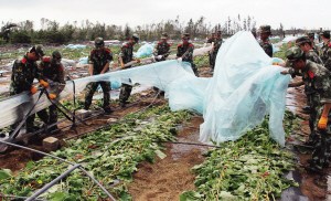 �������������Ǳ������ࡱ�����6��Ա���ѣ�ͼ��