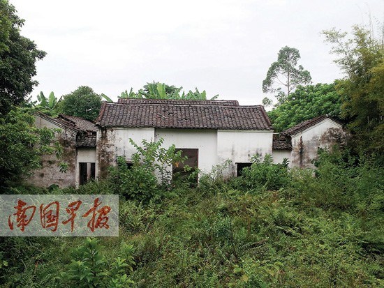 ����������ַ�ſ���ȸ����Τ���Թʾ��Ӳݴ���