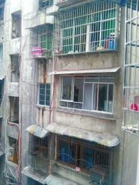 �Ĵ�һ��������ɱ����ʬ�ھӳƳ���ǰ�ڳ��ܣ�ͼ��