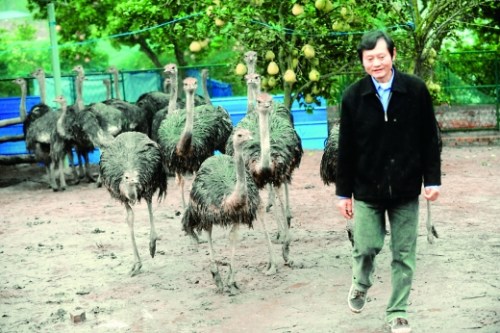 ���ӻ����׽�ծ��ɽ�������14��������ͼ����2��