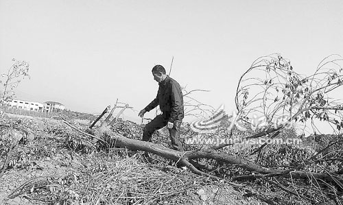 ��������ǧ����������ֻ���쵼�ơ������ߡ���ͼ��