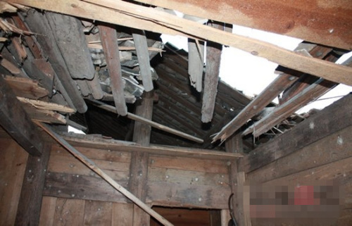 �϶����Ųк��Ҵ������������񷿴������1��Ԫ��ͼ��