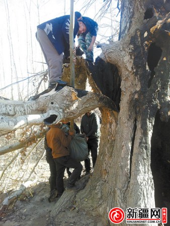 �½�8����ͯ����������ȼ188�������ͼ��