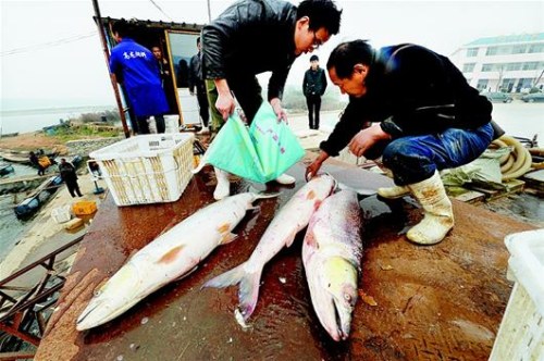 ��ǧ���¼ǡ�֮��Ȫ������������¸���ϣ����ͼ����2��